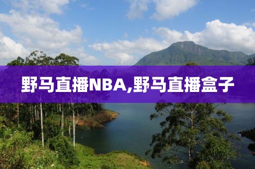 野马直播NBA,野马直播盒子