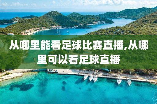 从哪里能看足球比赛直播,从哪里可以看足球直播
