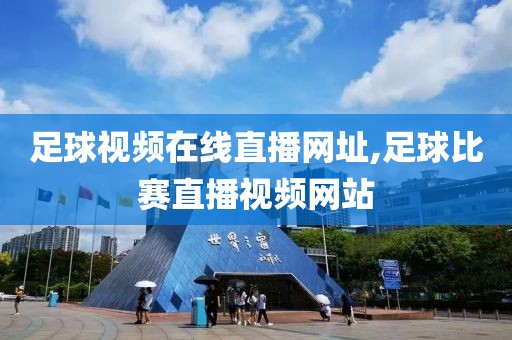 足球视频在线直播网址,足球比赛直播视频网站