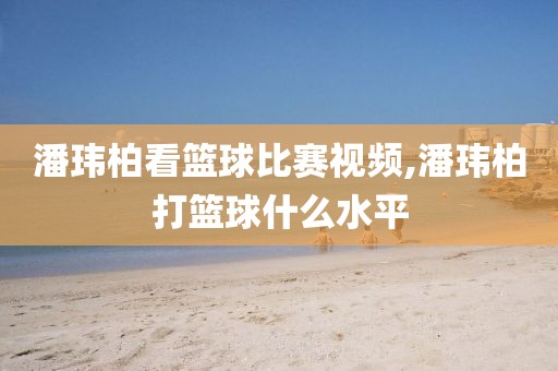 潘玮柏看篮球比赛视频,潘玮柏打篮球什么水平