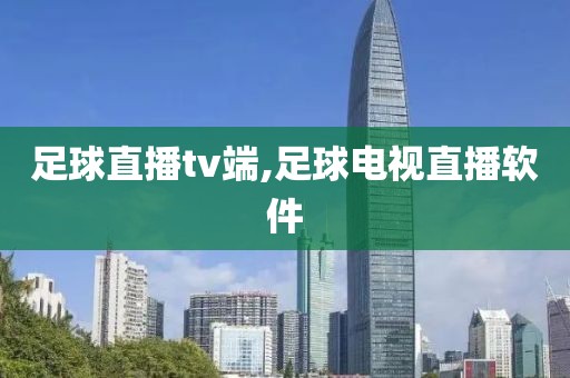 足球直播tv端,足球电视直播软件