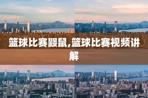篮球比赛鼹鼠,篮球比赛视频讲解