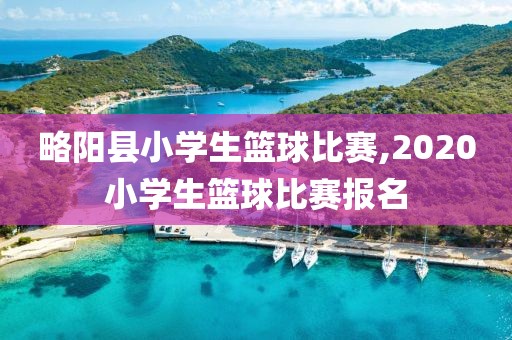 略阳县小学生篮球比赛,2020小学生篮球比赛报名