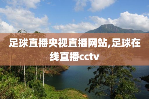 足球直播央视直播网站,足球在线直播cctv