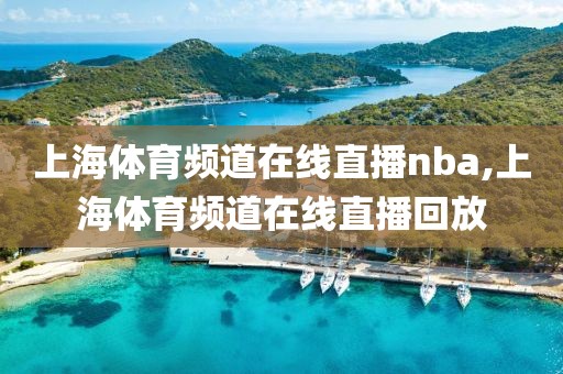 上海体育频道在线直播nba,上海体育频道在线直播回放