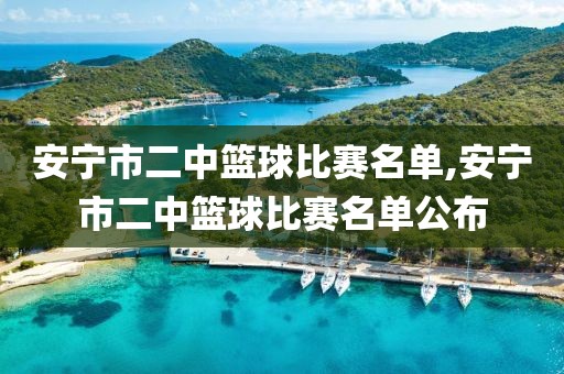 安宁市二中篮球比赛名单,安宁市二中篮球比赛名单公布