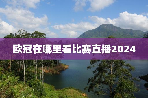 欧冠在哪里看比赛直播2024