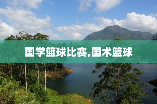 国学篮球比赛,国术篮球