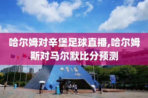 哈尔姆对辛堡足球直播,哈尔姆斯对马尔默比分预测