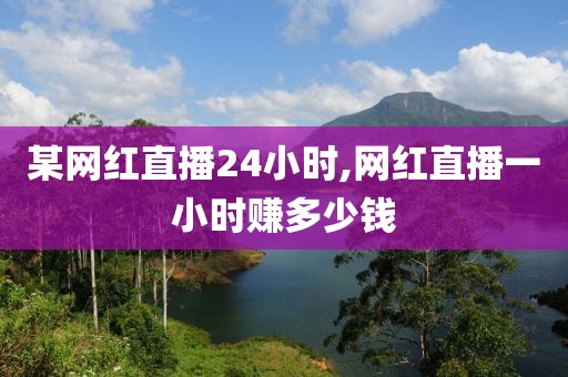 某网红直播24小时,网红直播一小时赚多少钱