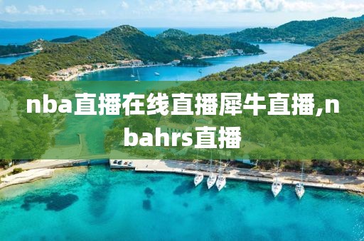 nba直播在线直播犀牛直播,nbahrs直播
