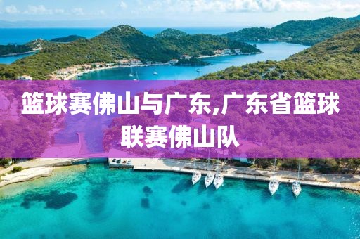 篮球赛佛山与广东,广东省篮球联赛佛山队