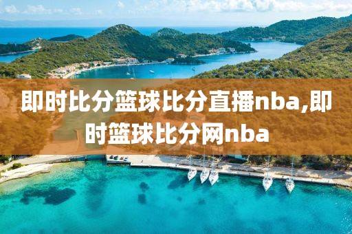 即时比分篮球比分直播nba,即时篮球比分网nba