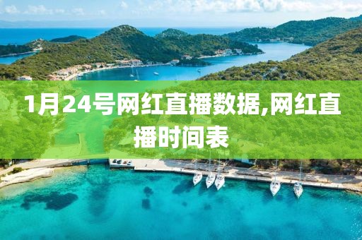 1月24号网红直播数据,网红直播时间表