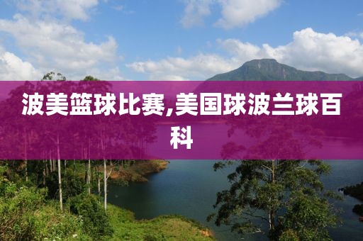 波美篮球比赛,美国球波兰球百科