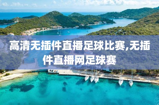 高清无插件直播足球比赛,无插件直播网足球赛