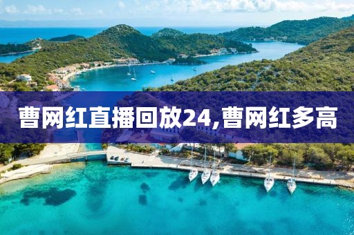 曹网红直播回放24,曹网红多高