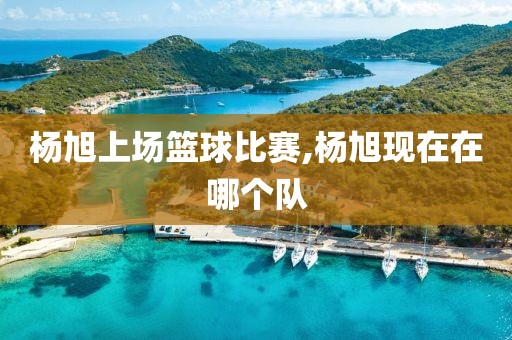 杨旭上场篮球比赛,杨旭现在在哪个队
