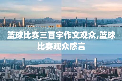 篮球比赛三百字作文观众,篮球比赛观众感言