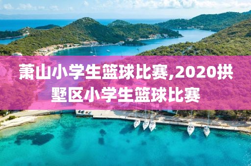 萧山小学生篮球比赛,2020拱墅区小学生篮球比赛