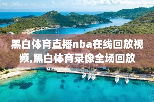 黑白体育直播nba在线回放视频,黑白体育录像全场回放