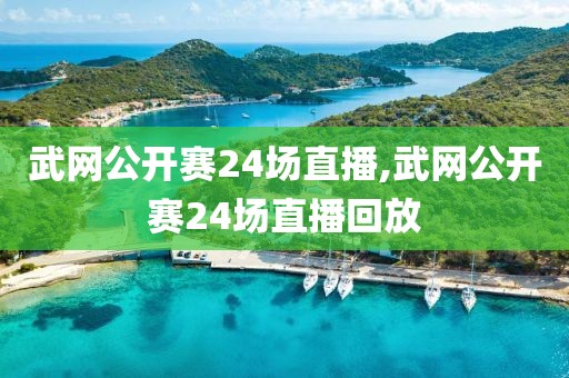 武网公开赛24场直播,武网公开赛24场直播回放
