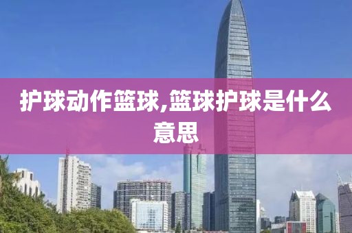 护球动作篮球,篮球护球是什么意思
