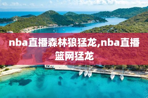 nba直播森林狼猛龙,nba直播篮网猛龙