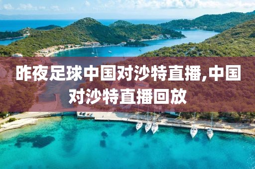 昨夜足球中国对沙特直播,中国对沙特直播回放