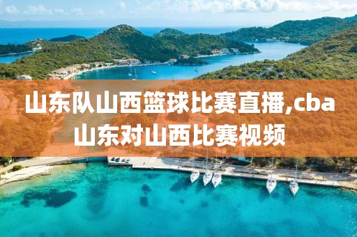 山东队山西篮球比赛直播,cba山东对山西比赛视频