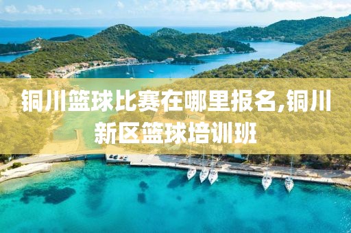 铜川篮球比赛在哪里报名,铜川新区篮球培训班