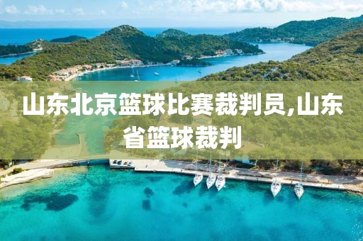 山东北京篮球比赛裁判员,山东省篮球裁判