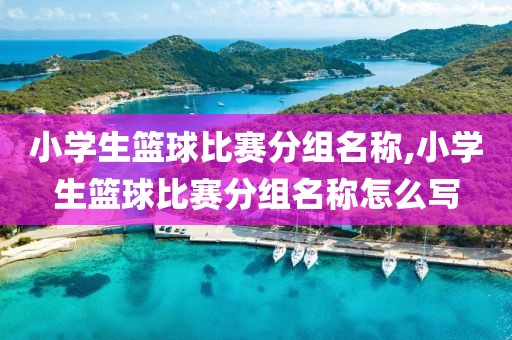 小学生篮球比赛分组名称,小学生篮球比赛分组名称怎么写