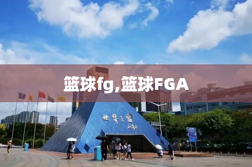 篮球fg,篮球FGA