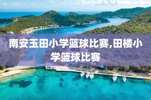 南安玉田小学篮球比赛,田楼小学篮球比赛