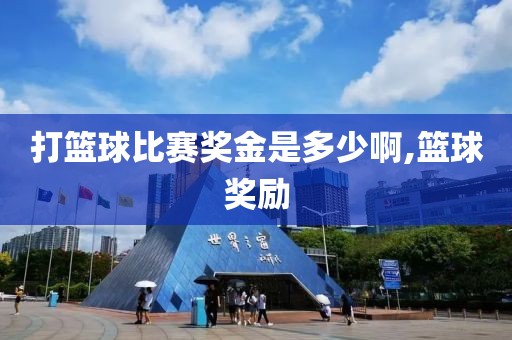 打篮球比赛奖金是多少啊,篮球奖励