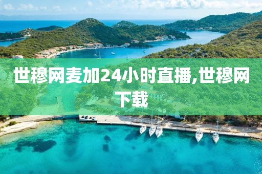 世穆网麦加24小时直播,世穆网下载