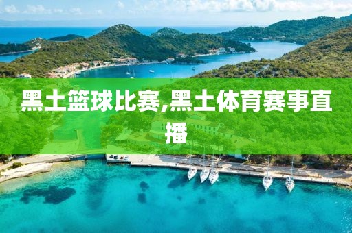 黑土篮球比赛,黑土体育赛事直播