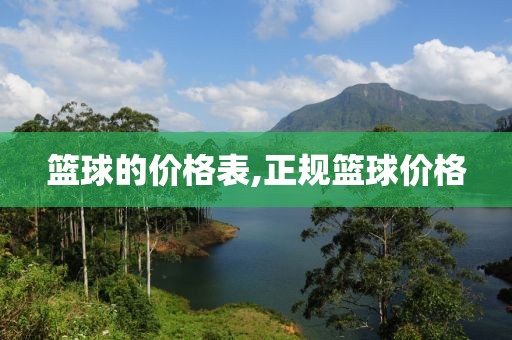 篮球的价格表,正规篮球价格