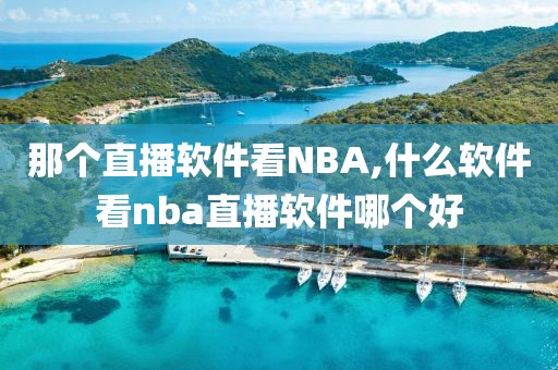 那个直播软件看NBA,什么软件看nba直播软件哪个好