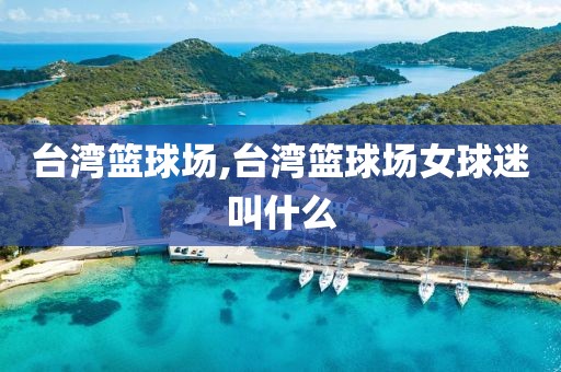 台湾篮球场,台湾篮球场女球迷叫什么