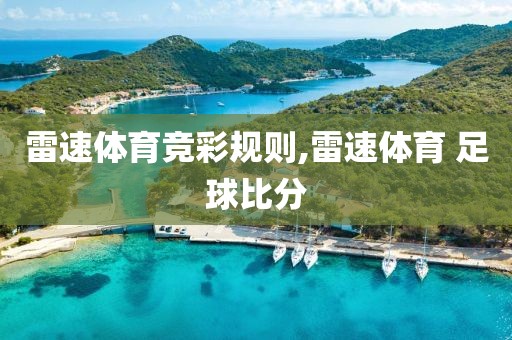 雷速体育竞彩规则,雷速体育 足球比分