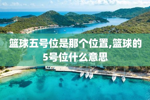 篮球五号位是那个位置,篮球的5号位什么意思
