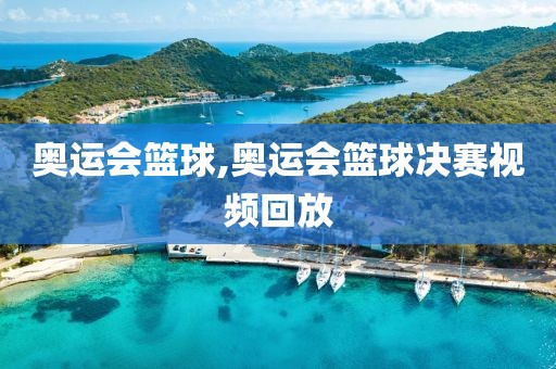 奥运会篮球,奥运会篮球决赛视频回放