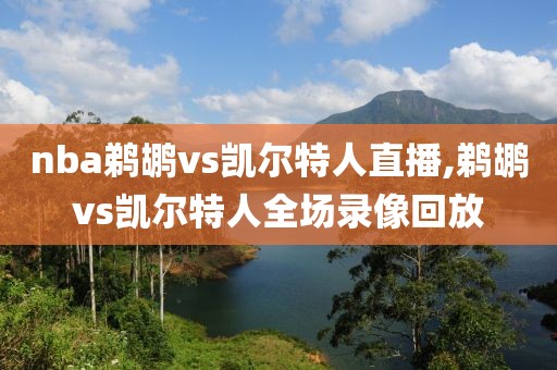 nba鹈鹕vs凯尔特人直播,鹈鹕vs凯尔特人全场录像回放