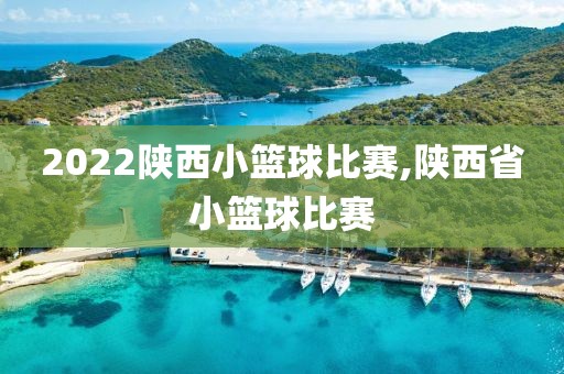 2022陕西小篮球比赛,陕西省小篮球比赛