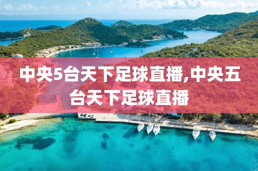 中央5台天下足球直播,中央五台天下足球直播