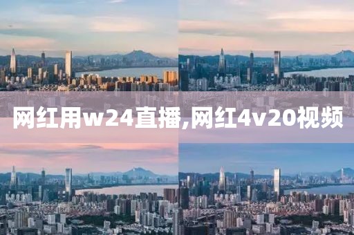 网红用w24直播,网红4v20视频