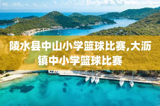 陵水县中山小学篮球比赛,大沥镇中小学篮球比赛