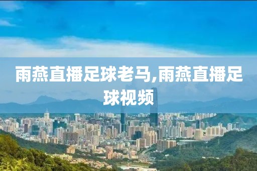 雨燕直播足球老马,雨燕直播足球视频